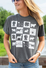 Load image into Gallery viewer, Fair Week Checkers Graphic Tee