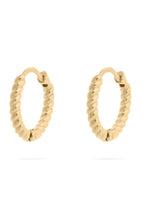 Load image into Gallery viewer, Gold hoop earrings on a white background