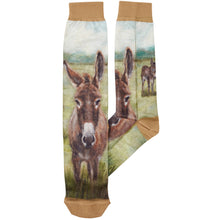Load image into Gallery viewer, Primitives by Kathy - Donkey Socks