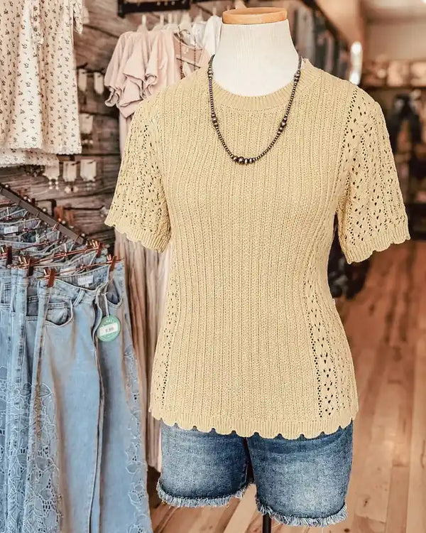 Be Cool - POINTELLE SHORT SLEEVE SWEATER TOP WITH SCALLOP EDGE: Buttermilk