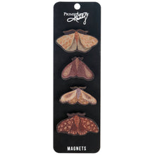 Load image into Gallery viewer, Set of four moth-shaped magnets on a black card with 'Primed by Katy' branding.