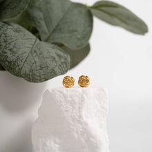 Load image into Gallery viewer, 18K Gold PVD Stainless Steel Knot Stud Earrings: Stainless