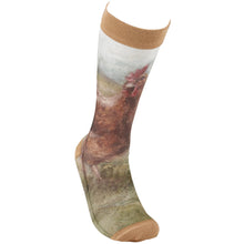 Load image into Gallery viewer, Primitives by Kathy - Chicken Socks