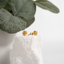 Load image into Gallery viewer, 18K Gold PVD Stainless Steel Knot Stud Earrings: Stainless