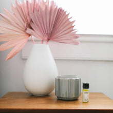 Load image into Gallery viewer, Sweet Grace Home Fragrance Oil