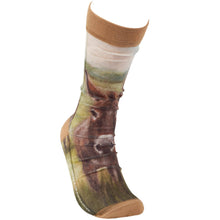 Load image into Gallery viewer, Primitives by Kathy - Donkey Socks
