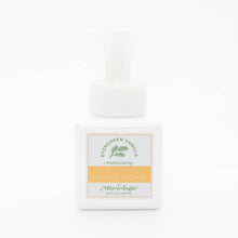 Load image into Gallery viewer, Hand soap bottle with packaging labeled &#39;Evergreen Vanilla&#39; on a white background
