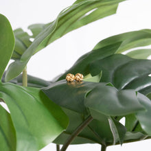 Load image into Gallery viewer, 18K Gold PVD Stainless Steel Knot Stud Earrings: Stainless
