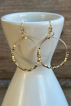 Load image into Gallery viewer, Dylan Designs - Elvera Earrings Gold
