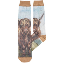 Load image into Gallery viewer, Primitives by Kathy - Highland Cows Socks