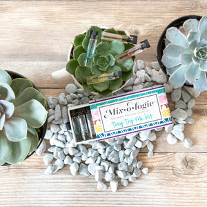 Mix-o-logie Tiny Tray Kit with succulents on a wooden surface
