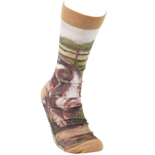 Load image into Gallery viewer, Primitives by Kathy - Kune Kune Pig Socks