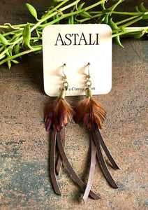 Mini Feather Earrings Choc/Pheasant